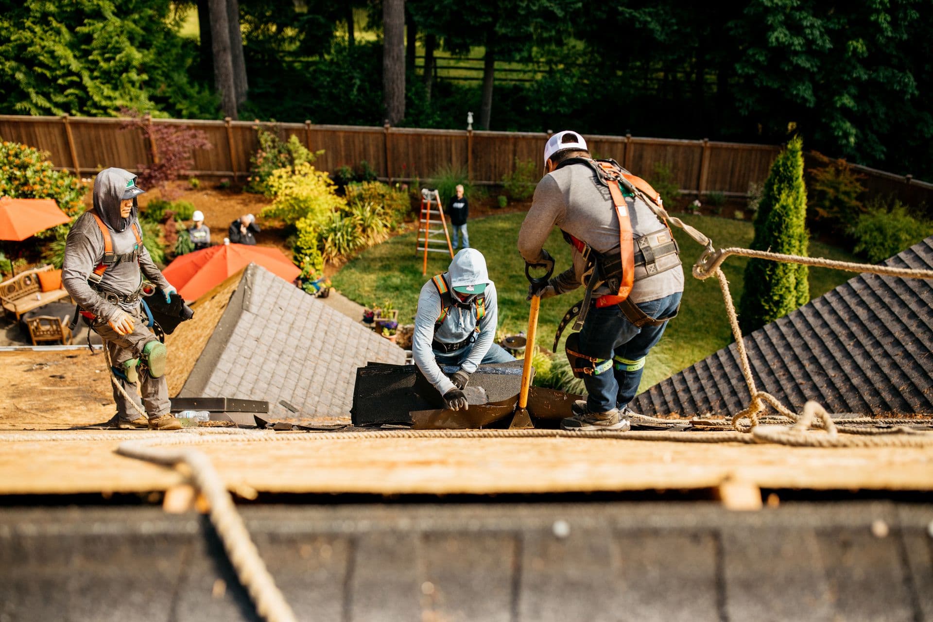 Roofers in harnesses work on a steep roof, carrying shingles. Sunlit yard with garden, red umbrellas, and trees in the background. Teamwork and focus.